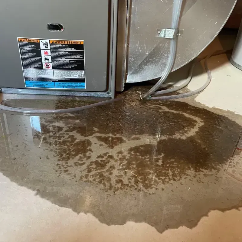 Appliance Leak Cleanup in Belton, SC